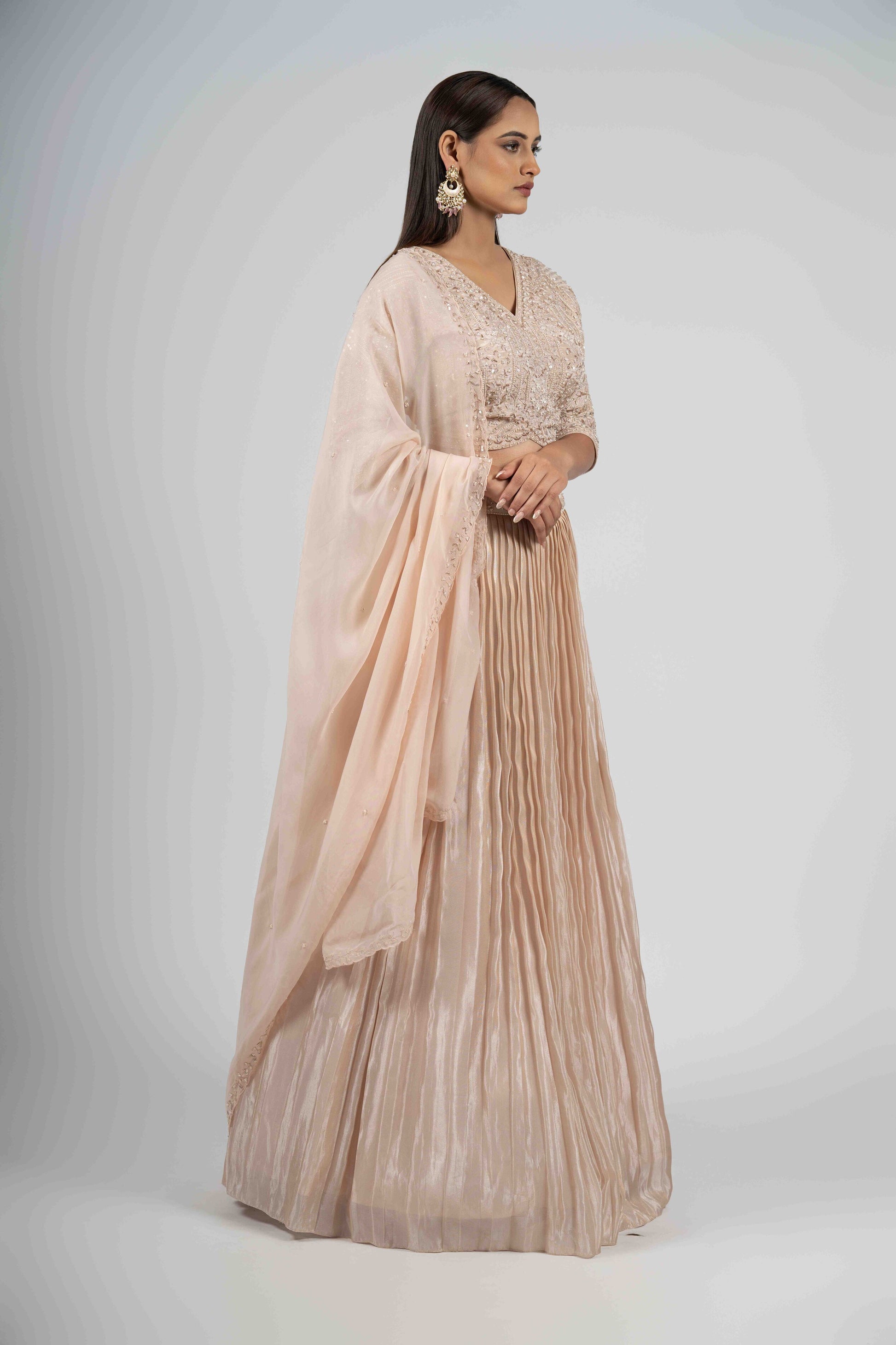 Timeless Light Pink Tissue Lehenga designed for a sophisticated and regal look.