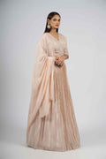 Light Pink Tissue Lehenga with intricate embroidery and a flowing organza dupatta.