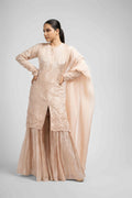 Back view of the Rose Pink Tissue Sharara Set, displaying the seamless finish and soft fabric drape.